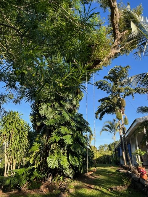 Costa Rica Blog 2